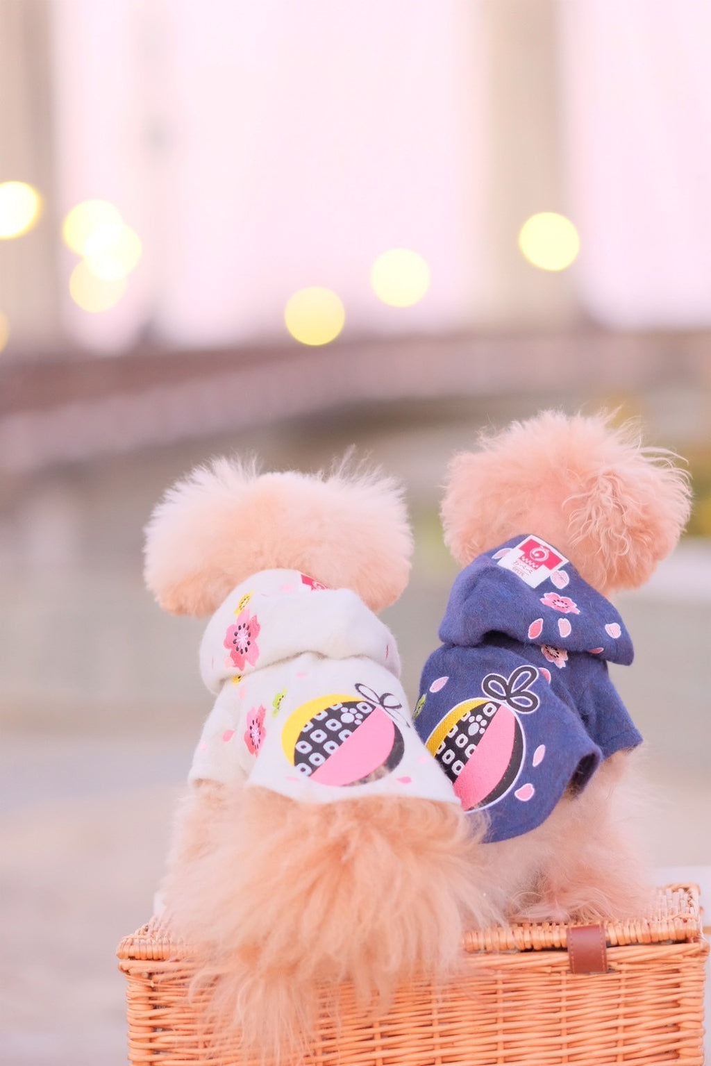 Dog Hoody Dress
