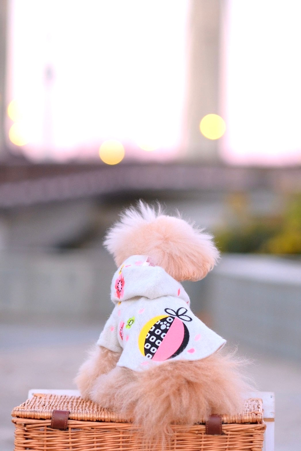 Dog Hoody Dress