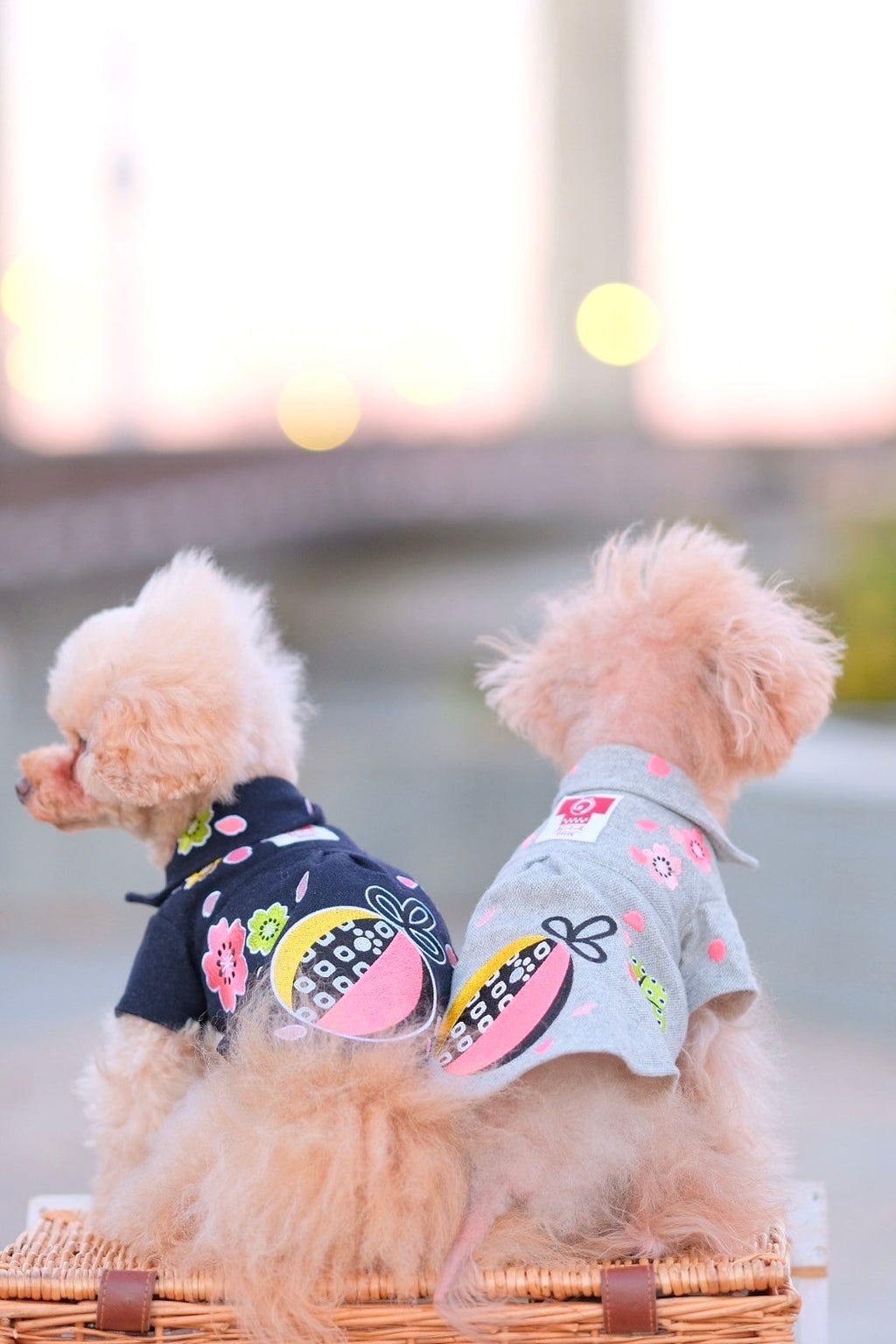 Dog Shirts Dress
