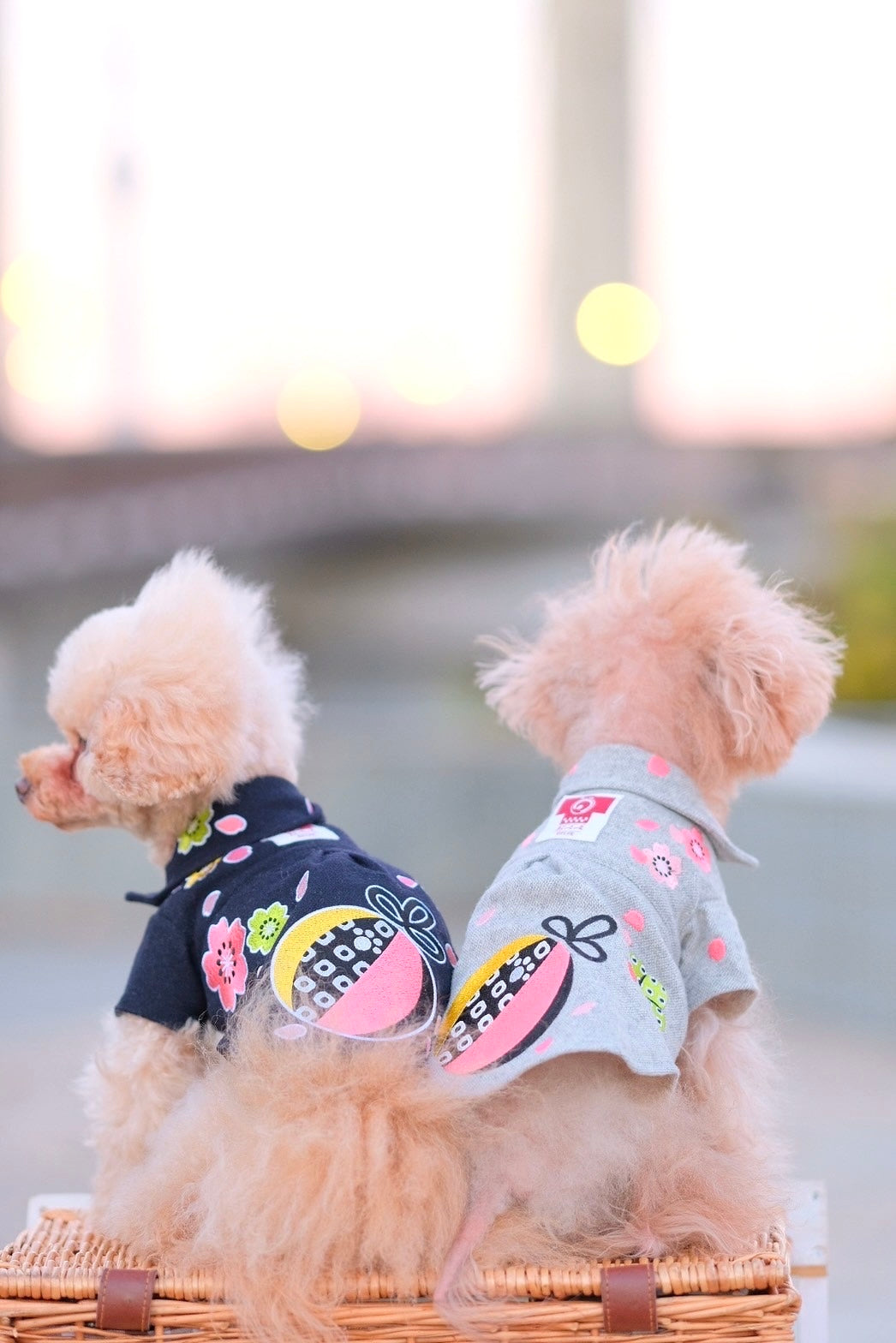 Dog Shirts Dress