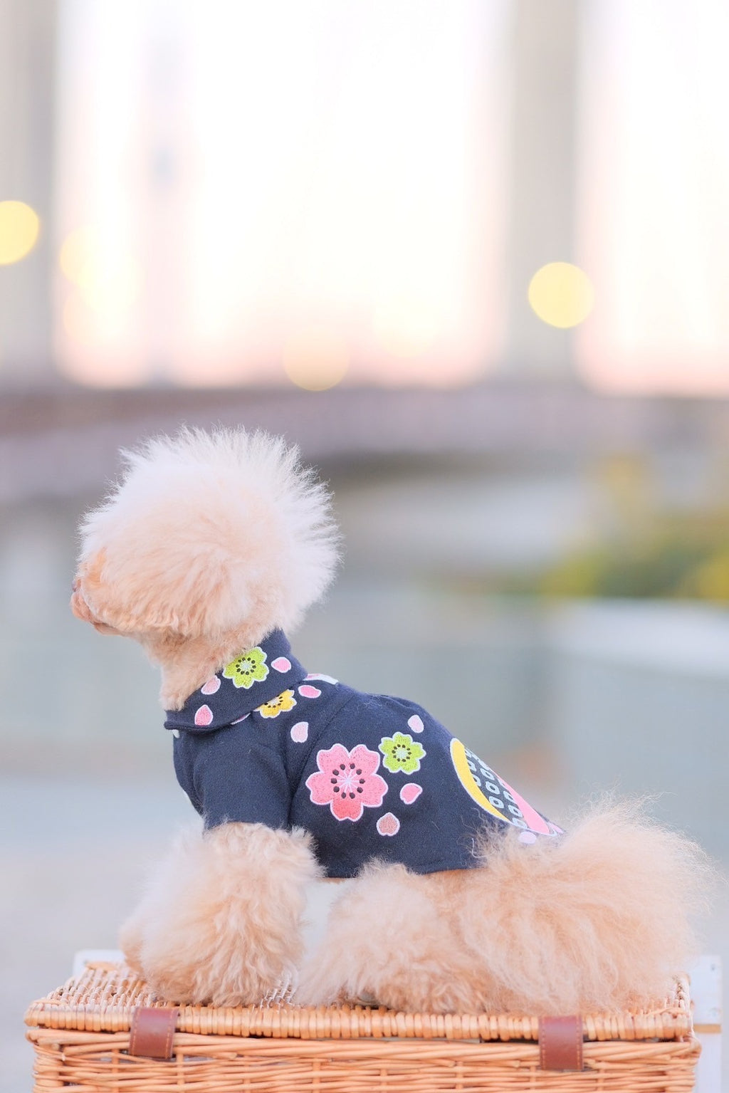 Dog Shirts Dress