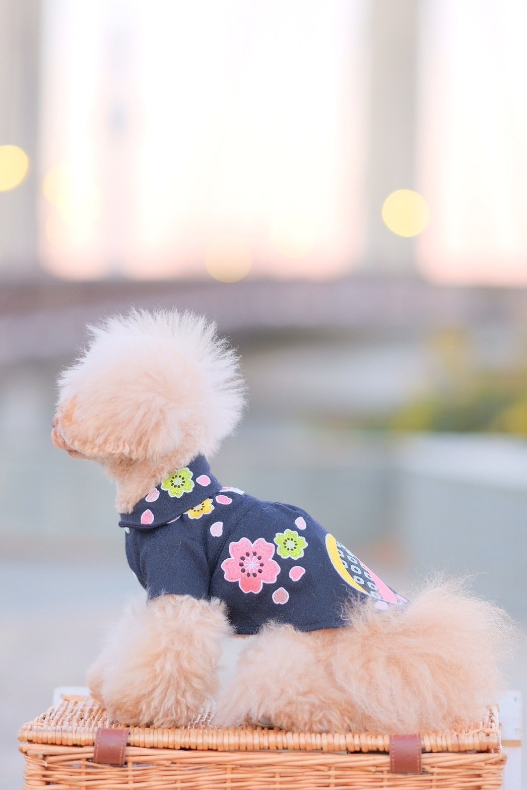 Dog Shirts Dress