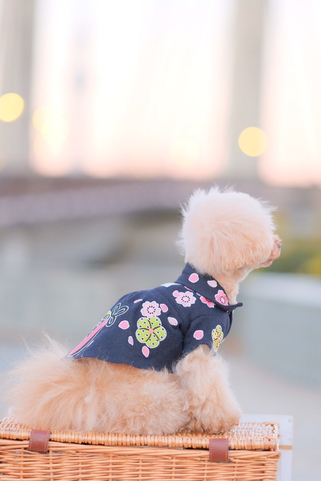 Dog Shirts Dress