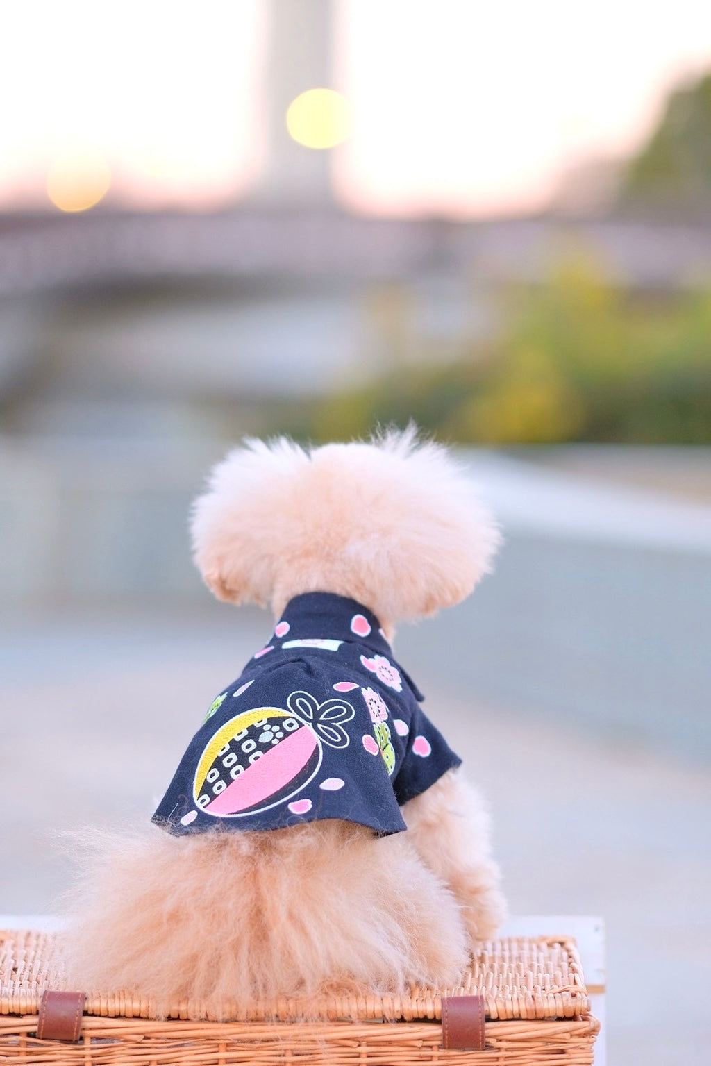Dog Shirts Dress
