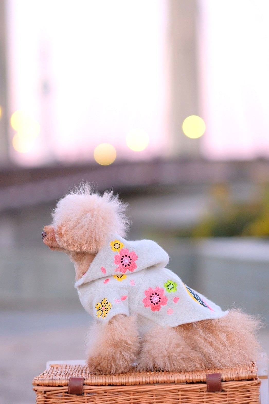 Dog Hoody Dress