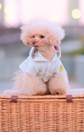 Dog Hoody Dress