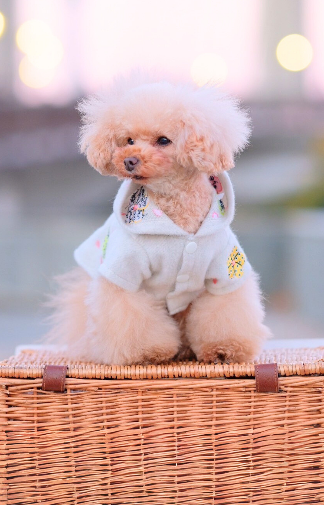 Dog Hoody Dress